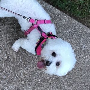 Meet your Posher, Bhairavi